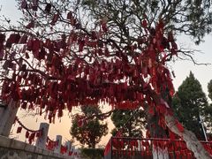 -烟台山景区