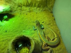 -酷嗒动物文化乐园(cutezoo西溪乐天城店)