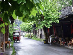 -郫都区农科村景区