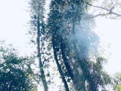 -广州市白云山风景名胜区