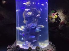 -南昌海洋公园