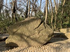 -上海佘山国家森林公园天马山园