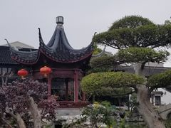 -檀园