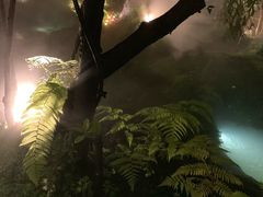 -Chom Cafe and Restaurant