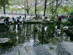 -成都市活水公园
