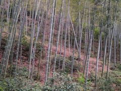 -黄公望隐居地
