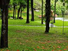 -深圳国际园林花卉博览园