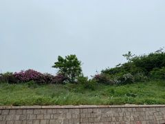 -石老人观光园