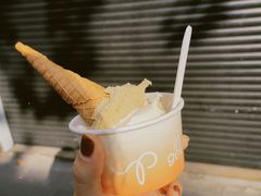 -Dip in Gelato(富民路店)