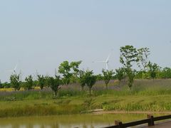 -黄海国家森林公园