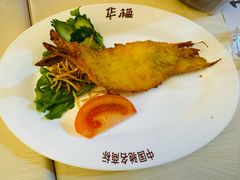 -华梅西餐厅(哈尔滨中央大街店)
