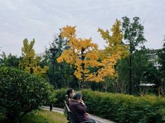 -沙河三洞古桥公园