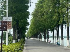 -东湖落雁景区