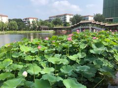 -西海子公园