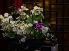 -练塘古镇