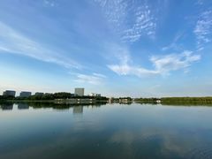 -大兴滨河森林公园