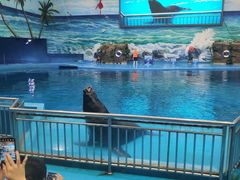 -多彩贵州城极地海洋世界