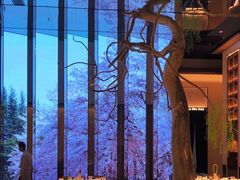 -桂满陇·海市蜃楼·黑金(国金店)