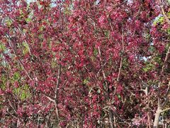 -长春公园(普阳街道)