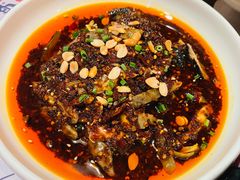 凉拌鸡-铁公鸡·四川料理(天环广场店)