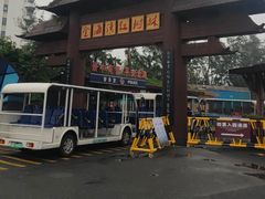 -北海金海湾红树林生态旅游区