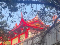 -金鸡山公园