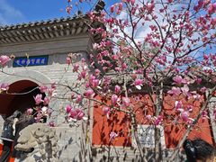 -红螺寺