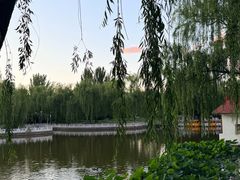 -丰台花园