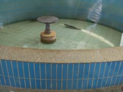 -祥源·阜阳生态乐园