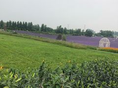-紫颐香薰山谷景区