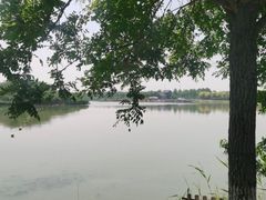 -天津东丽湖风景区