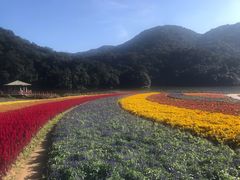 -广州市石门国家森林公园