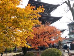 -医王山·飞騨国分寺