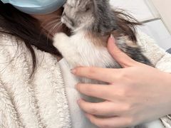 -派美特宠物医院·核磁CT·骨科肿瘤·疑难转诊(沈农禾丰店)