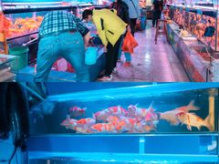 -桂林市花鸟市场