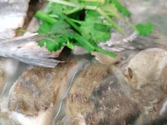 海鱼滚汤-霞海鸭仔饭店(海滨大道北店)