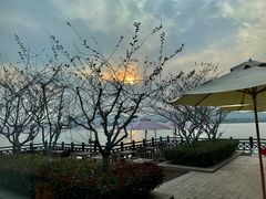 -望海·帆船主题咖啡厅•品茗下午茶(石湖景区店)