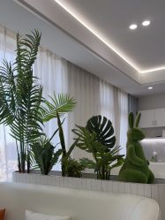 -白月光皮肤管理·德国LDM