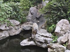 -鲤院·新中式美学·庭院餐厅(夫子庙店)