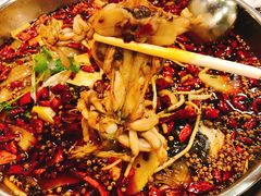 -味之绝热血美蛙鱼火锅(中坝店)