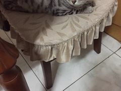 -欢乐酷量贩KTV(万达广场店)