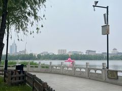 -莲花池公园