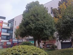 -浦江城市生活广场(江月路店)