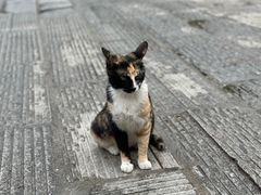 -宝通禅寺