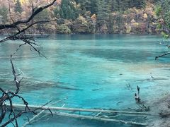 -黄龙山原始森林景区