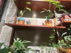-Ponte 意大利餐厅