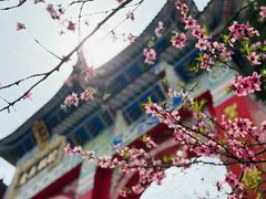 -九华山风景区月身宝殿