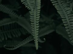 -维乐口腔医院(星海湾分院)