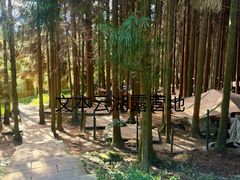 -武陵山森林公园