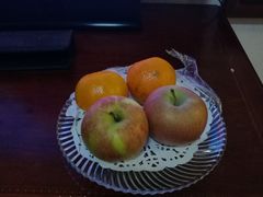 -沈阳玫瑰大酒店